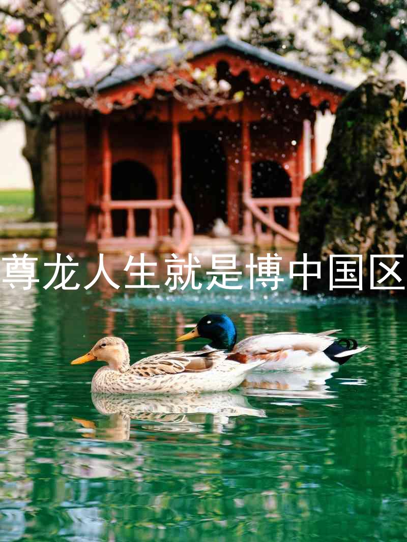 尊龙人生就是博中国区
