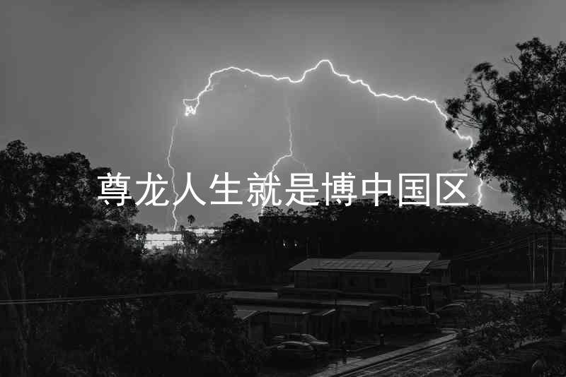 尊龙人生就是博中国区