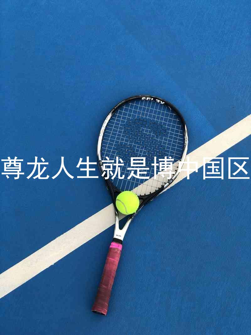 尊龙人生就是博中国区