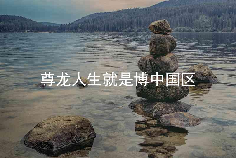 尊龙人生就是博中国区